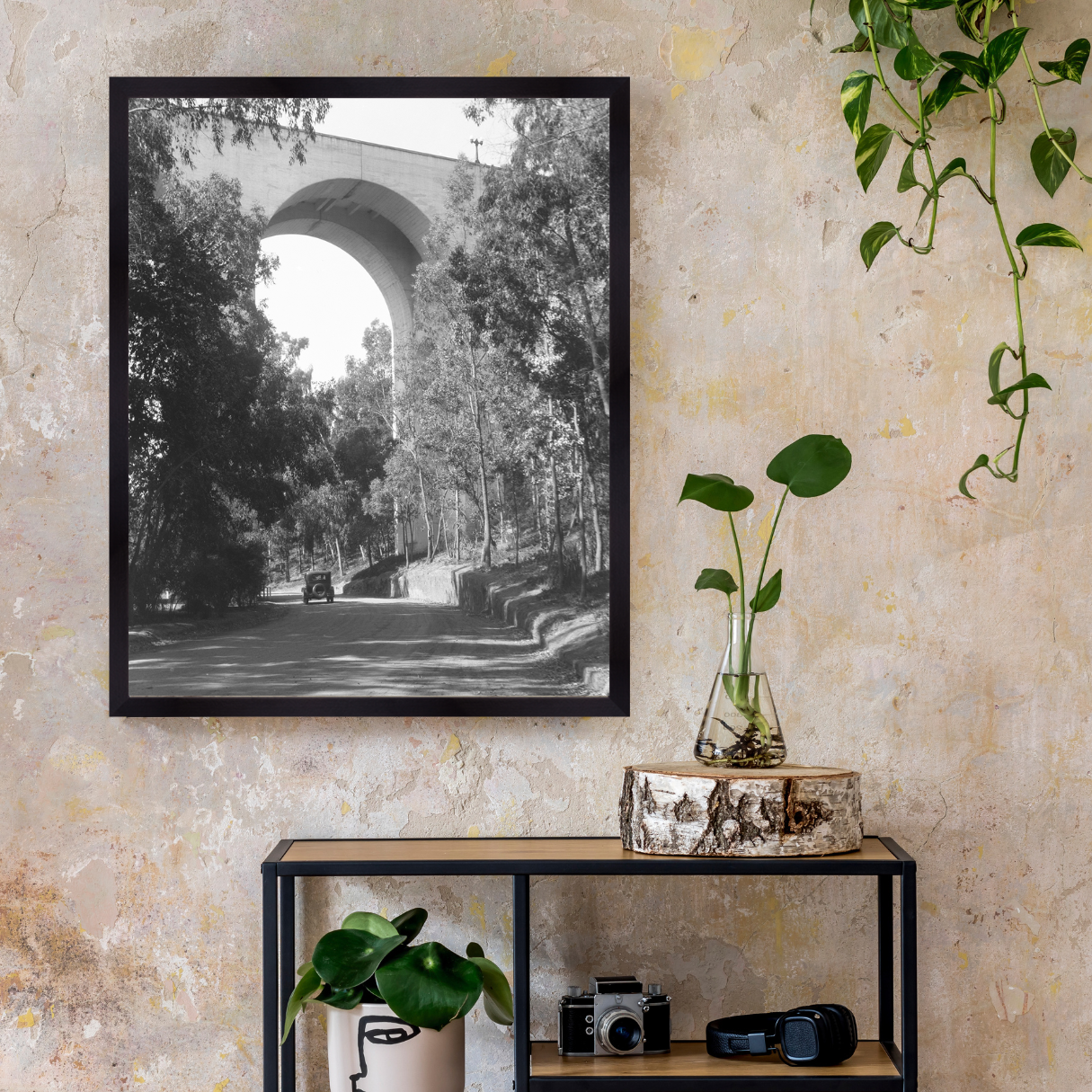 Cabrillo Bridge, 1925