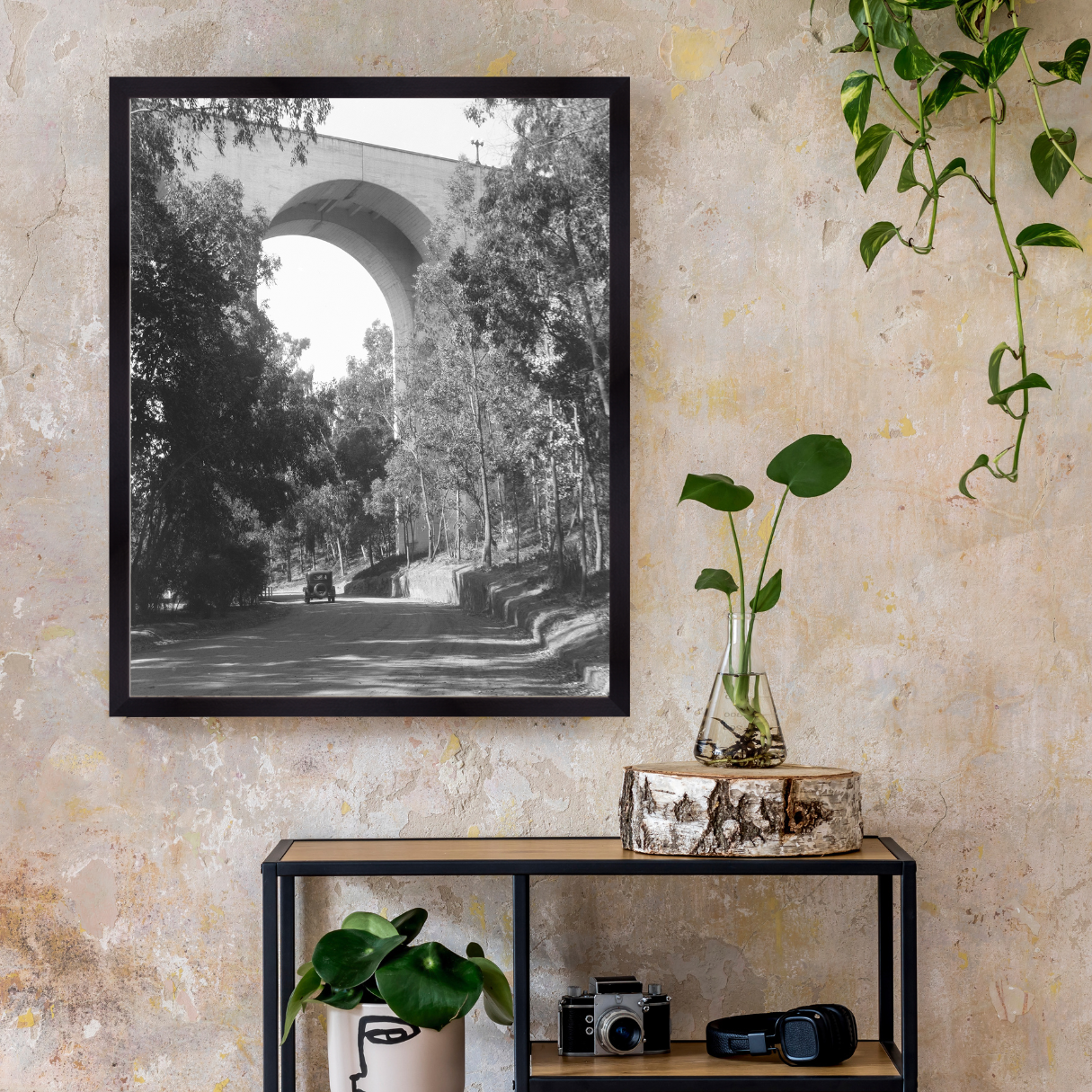 Cabrillo Bridge, 1925