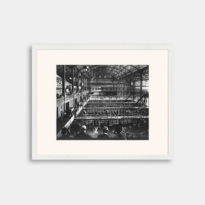 View of Sutro Baths with Spectators and Small Pools, circa 1900