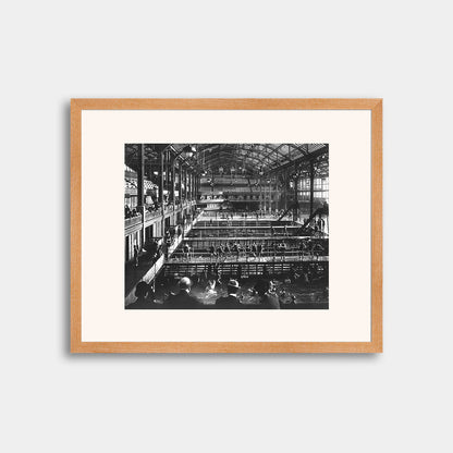 View of Sutro Baths with Spectators and Small Pools, circa 1900