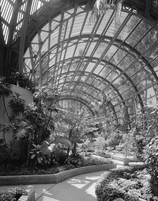 Balboa Park, Botanical Garden, 1963