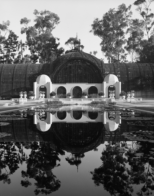 Balboa Park, Botanical Garden Lilly Pond, 1963