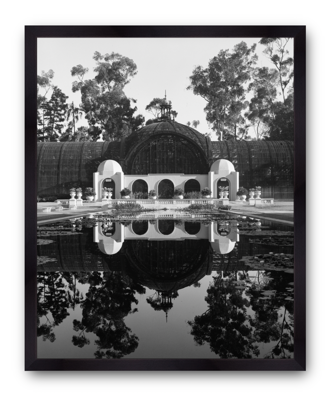 Balboa Park, Botanical Garden Lilly Pond, 1963