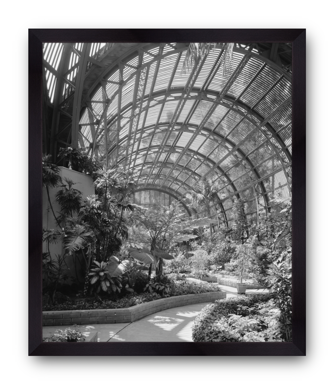 Balboa Park, Botanical Garden, 1963