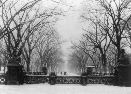 Central Park in Winter, New York City, 1906
